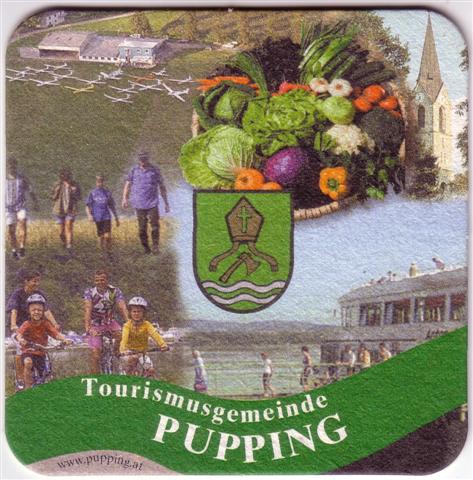 pupping o-a pupping 1a (quad185-wappen)